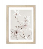 Taulu magnolia II DECO 